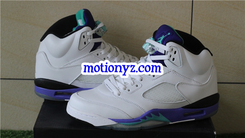 Authentic Air Jordan 5 Retro Grapes